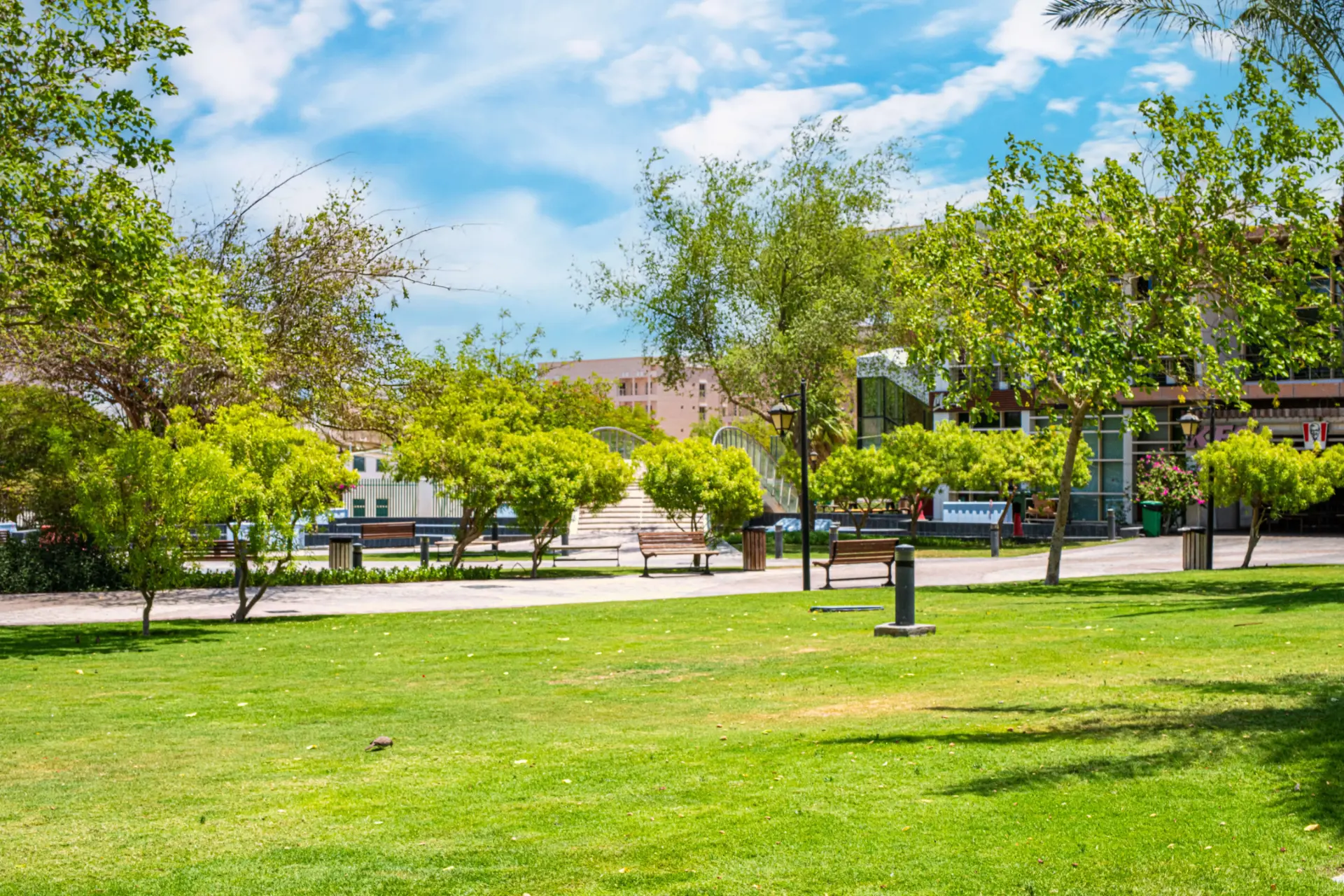 Mesaimeer City buildings and landscaped grounds